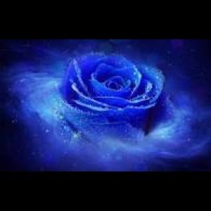 Meet your Posher, Cloey